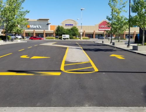 5 Ways a Commercial Parking Lot Paving Company Helps Your Business Thrive